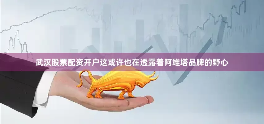 武汉股票配资开户这或许也在透露着阿维塔品牌的野心