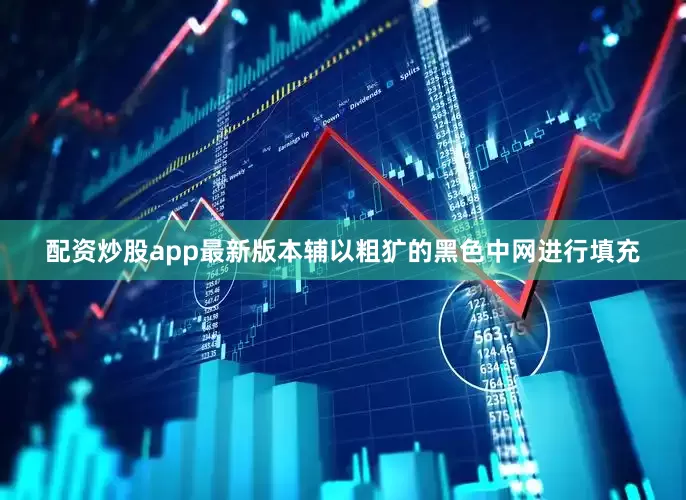 配资炒股app最新版本辅以粗犷的黑色中网进行填充