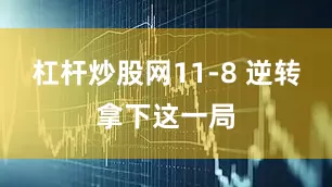 杠杆炒股网11-8 逆转拿下这一局
